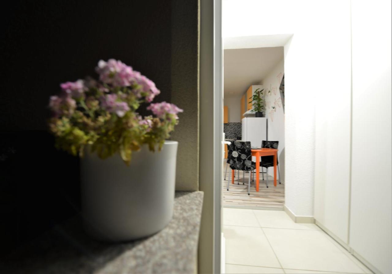 Pop&Rock Holiday House Zadar Dış mekan fotoğraf